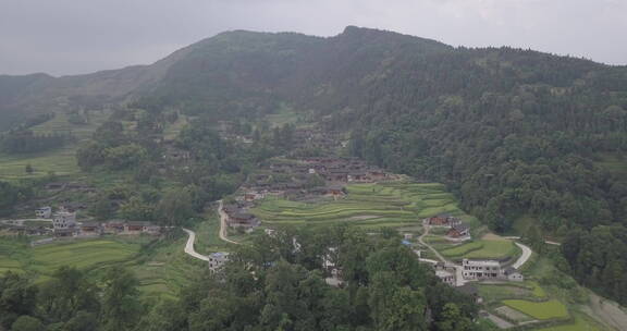 贵州梵净山梯田树木村庄村落