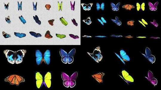 6组蝴蝶——alpha通道