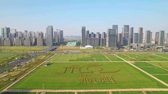 杭州亚运村城市建筑风景航拍