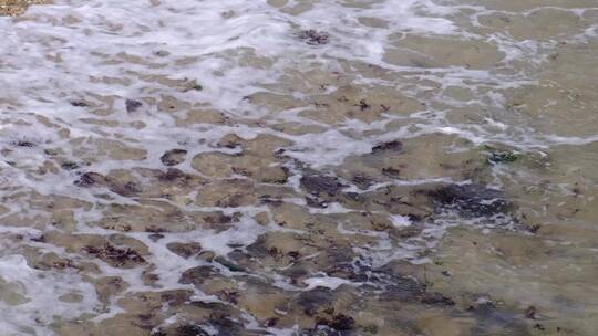 大风天海水夹杂着海藻冲刷沙滩60帧