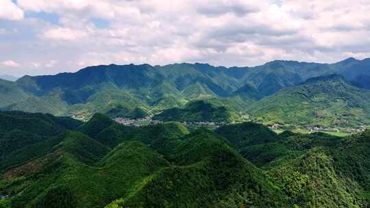 航拍江南浙江山区竹林竹海竹山