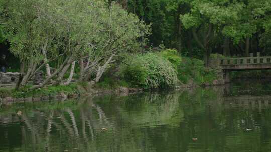 闺蜜旅游职业公园秋天夏天春天树林