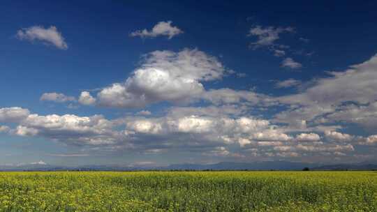 蓝天白云和绿色的田野