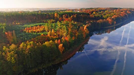 鸟瞰蓝色湖泊和秋天的森林