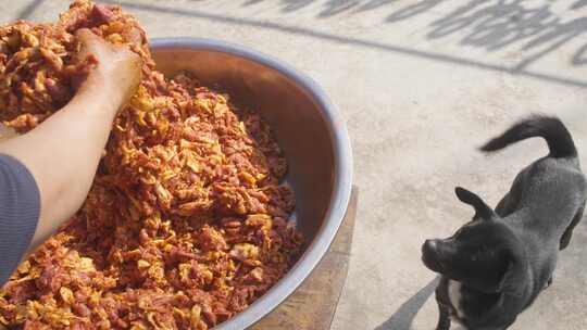 小狗围观四川麻辣猪肉香肠制作过程香料搅拌