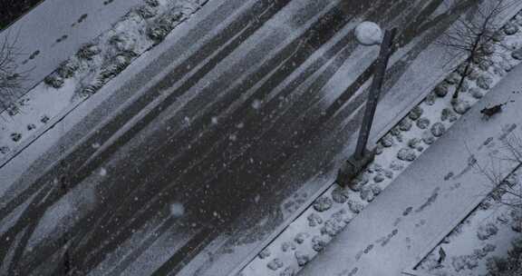 降雪，街道，狗，道路