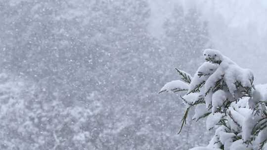 冬季下雪天气 暴雪天气