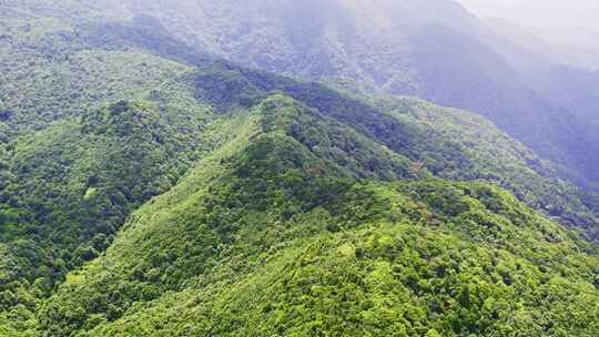 航拍森林树木青山山脉自然风景