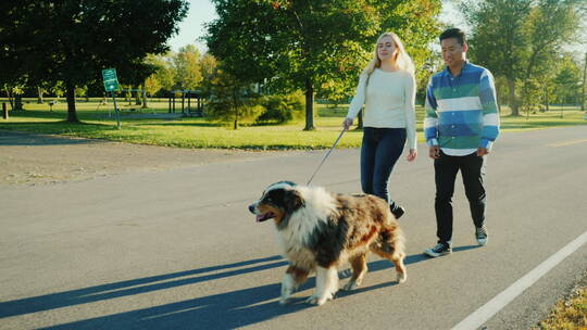 散步遛狗的情侣视频素材模板下载