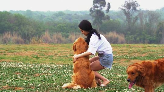 长腿美女和金毛宠物犬在春天开满花草地玩耍