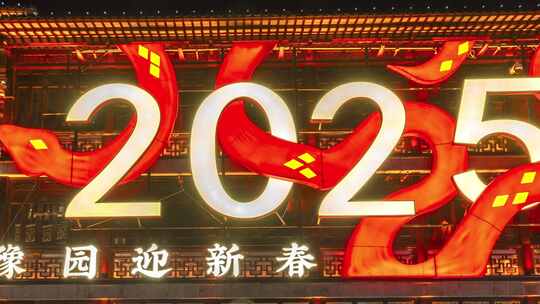 上海豫园2025年灯会蛇年春节新年延时