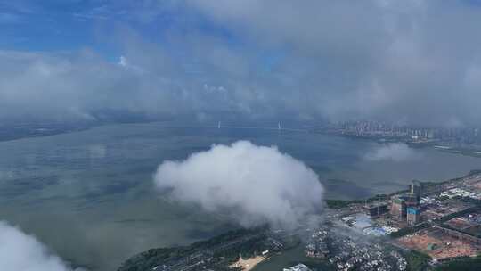 冲破云雾看建设中的深圳城市发展视频素材模板下载