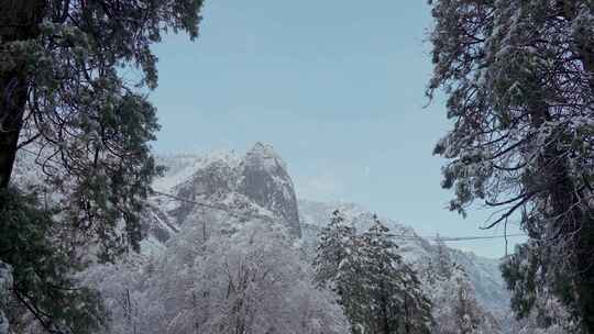 优胜美地，森林，雪，山脉