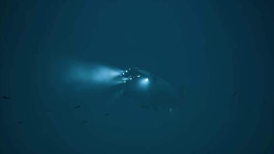 深海探测 海洋勘探视频素材模板下载