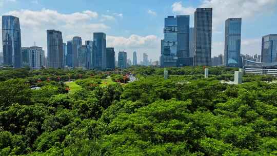 国庆深圳街道马路红旗深南大道市民中心