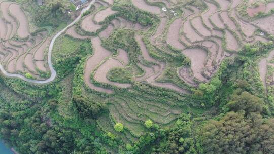 航拍农业种植田野梯田