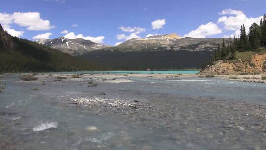 流入湖里的河流