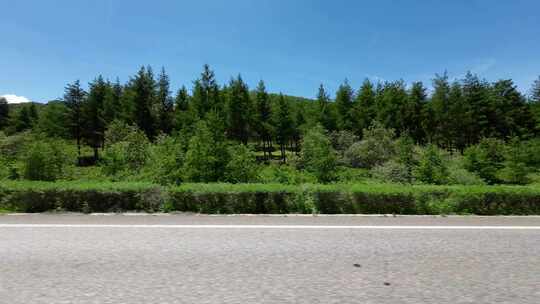 开车行驶在草原道路中  第一视角草原风景