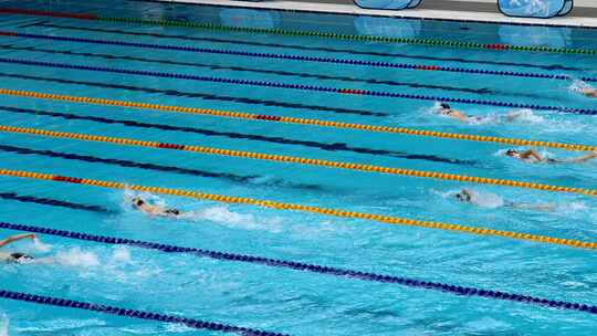 水立方国家游泳中心游泳比赛自由泳运动员视频素材模板下载