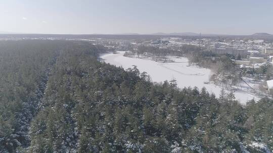 冬季长白山红松原始森林雪景航拍