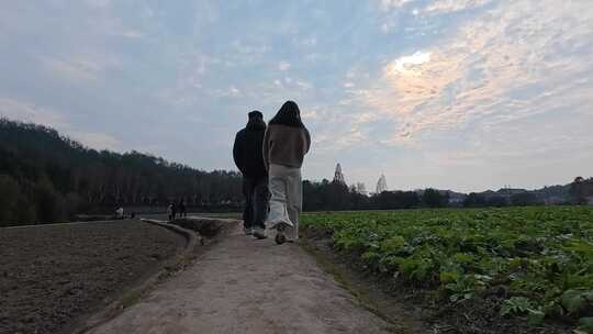 牵手情侣在田间小路上悠闲漫步的升格场景