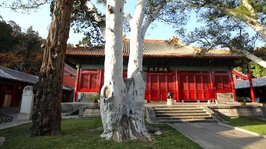 法海禅寺大雄宝殿视频素材