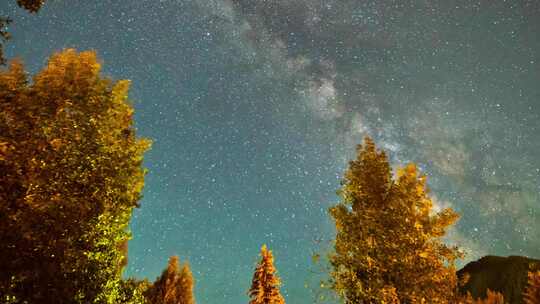 森林前景星空延时摄影视频素材模板下载