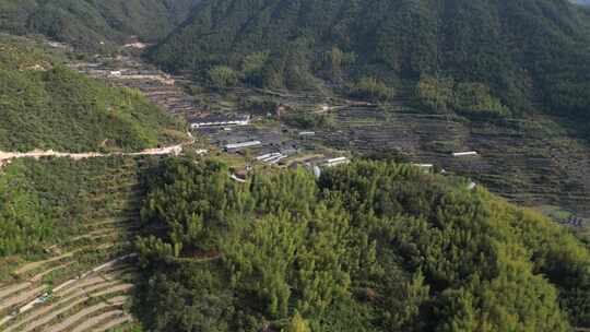 丽水遂昌山村