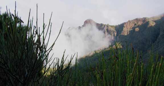 泰德，火山，特内里费岛，云