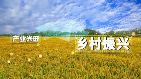 大气乡村振兴宣传片头AE模板