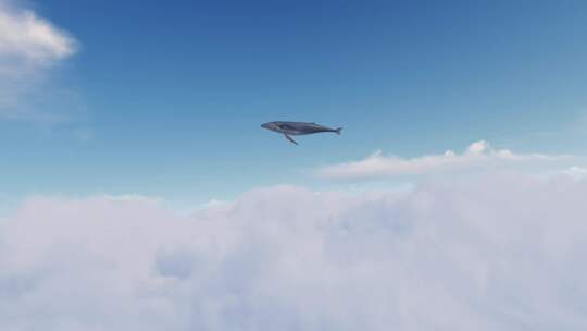 意境鲸鱼云层飞行