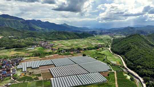 航拍蔬菜大棚 现代农业 乡村振兴