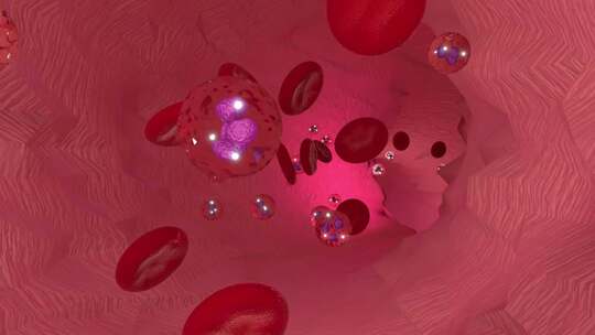 模拟血管内的红细胞视频素材模板下载
