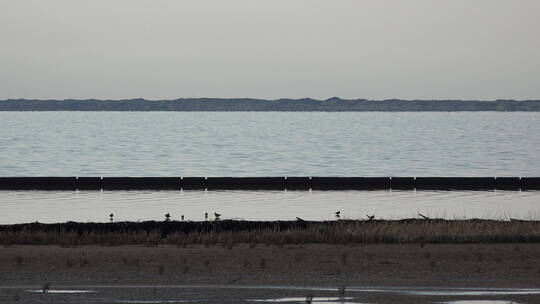 波光粼粼的湖水天际线景观