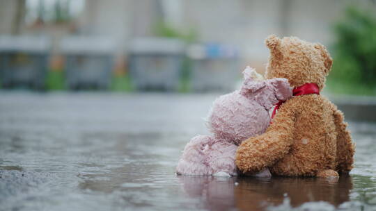 玩具坐在雨中的路面上
