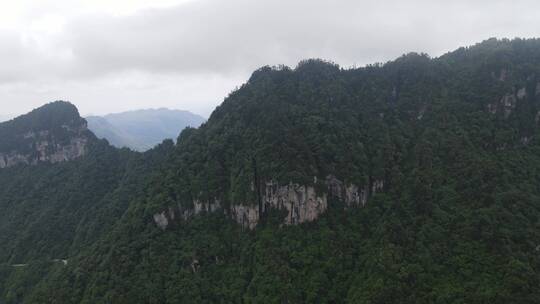 航拍高山森林原始森林