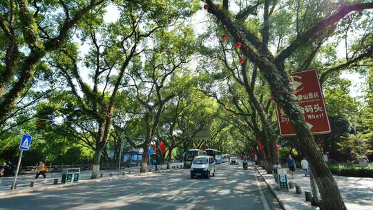 广西桂林城市道路绿树成荫的街道视频素材模板下载