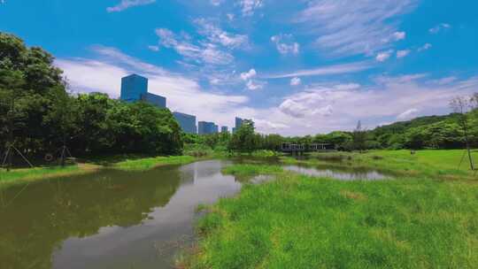 夏日蓝天