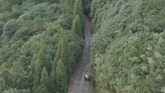 航拍大田顶大山森林高山公路视频素材模板下载