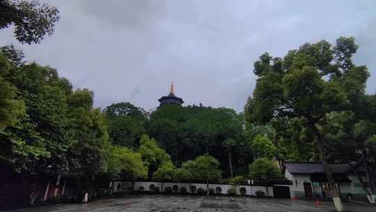 雨中的雷峰塔侧影