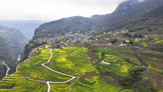 湖北恩施5A景区大峡谷绝壁花海航拍