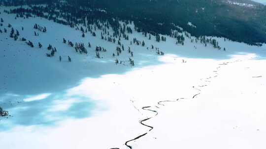 新疆禾木阿尔泰山里的林海雪原