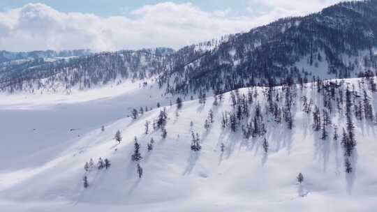 总有你需要的喀纳斯禾木的航拍雪景合集