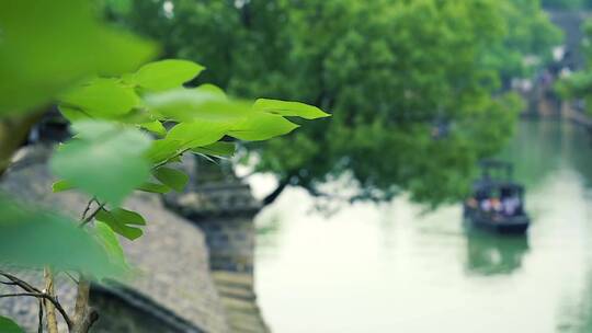 合集-古镇风光四季烟雨江南春夏秋冬