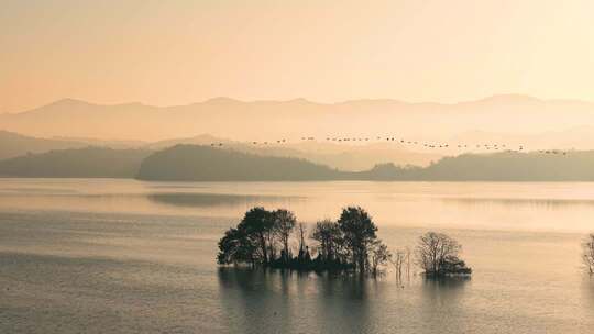 湖光水色候鸟南飞