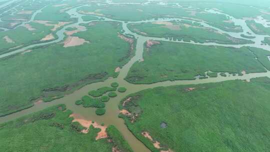 黄河入海口口湿地