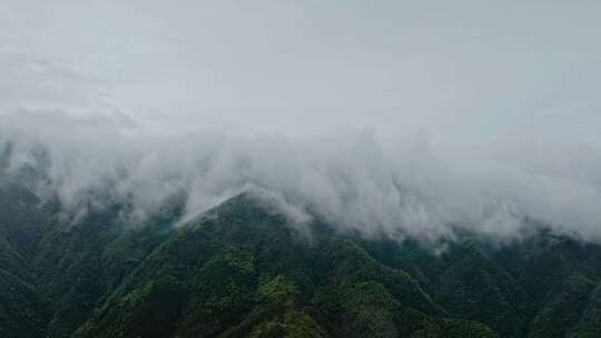 流动的云海