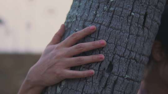 用手触摸树干树皮树木树干