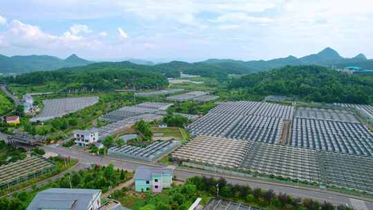 大棚种植基地 现代乡村经济发展面貌视频素材模板下载