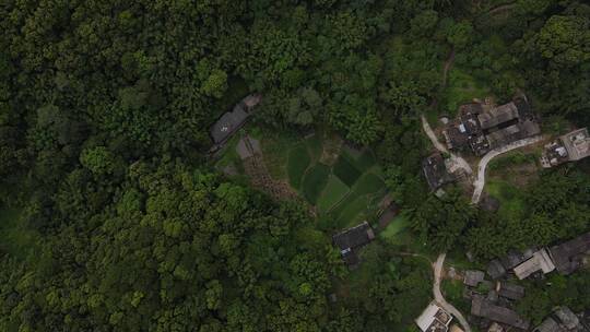 森林与原住民航拍